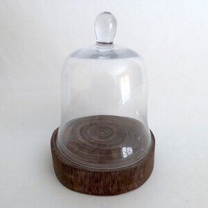 NEW 11” GLASS CLOCHE DISPLAY DOME COVER DECORATIVE WOOD LOG BASE